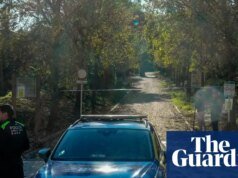 El brote de peste porcina española puede estar relacionado con los alimentos consumidos por los cerdos, dicen las autoridades españa