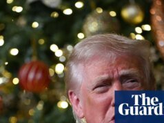 Ataques estadounidenses en Nigeria apuntan a militantes del Estado Islámico, dice Trump administración Trump