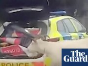 La policía utiliza un lazo para ayudar a recuperar un macho cabrío fugitivo en Wiltshire | noticias del reino unido