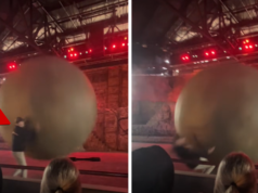 Empleado de Disney World es golpeado por una roca gigante en video