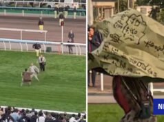 Un hombre ha sido arrestado después de irrumpir en la pista del hipódromo de Sha Tin con una pancarta de fuego de Tai Po.