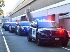 Búsqueda de sospechosos de vandalismo y robo en Sun Valley Mall