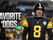 Perros favoritos: Back Hurricanes vs. Buckeyes, Steelers vs. Ravens