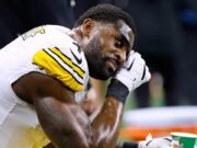 Fanático de los Leones revela qué provocó el incidente de DK Metcalfe