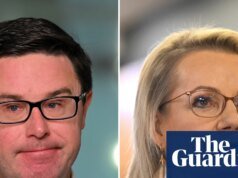 Susan Ley confía en que sobrevivirá como líder de la oposición y dice que la puerta está abierta para que las naciones se reincorporen a la coalición. alianza