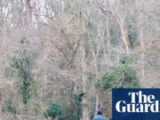 Pronóstico de nieve y hielo para gran parte del Reino Unido durante la ola de frío de Año Nuevo | El clima del Reino Unido