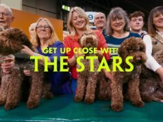 Apple ha compartido un avance de la nueva ‘Dug Series’ inmersiva de Top Dog que llegará a Vision Pro