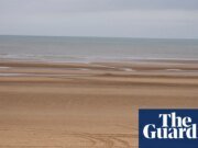 Oropel al muro de marea: árboles de Navidad desechados reutilizados para proteger la costa de Lancashire | línea costera