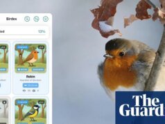 ¿Quieres verlos todos? Birdwatching es una app al estilo Pokémon para observar aves