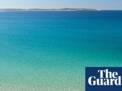 ‘La parte más importante es el ambiente’: Bate Bay es la mejor playa de Australia | noticias australianas