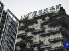 El tribunal desestimó el intento de anular el gigante inmobiliario Country Garden