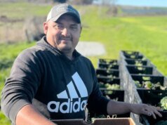 Los recortes federales podrían poner fin al programa Farm to Food Bank de California – The Mercury News