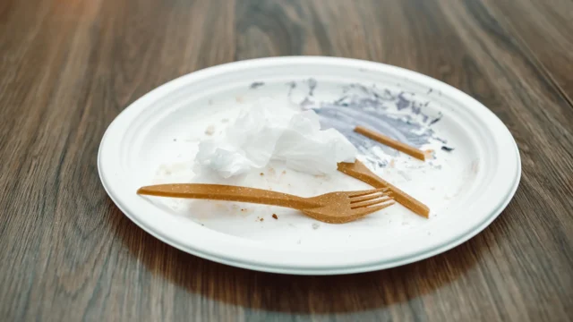 dirty-paper-plate-biodegradable-plastic-utensils.webp.webp