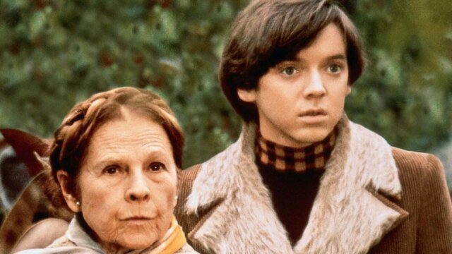 harold-and-maude.jpg