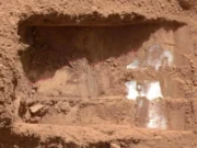 Una investigación de la NASA muestra que la vida antigua podría haber sobrevivido en el hielo marciano durante 50 millones de años