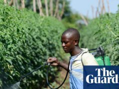 Los expertos dicen que África es particularmente vulnerable ya que las cadenas de suministro se ven interrumpidas por el conflicto de Irán.