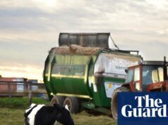 Exigencias para que los agricultores obtengan exenciones fiscales, garantía de diésel y ayuda para comprar fertilizantes en la reunión del Gabinete Nacional sobre la intensidad de la crisis energética