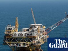 Trump retirará protecciones a especies en peligro de extinción en el Golfo de México Donald Trump