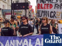 Una organización benéfica desafía un “escalofriante” cambio de ley para restringir las protestas en los sitios de experimentación con animales