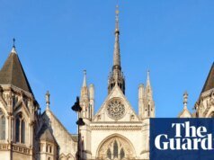 El tribunal de apelaciones dijo que no podía pronunciarse sobre quién fue el padre de los gemelos idénticos.