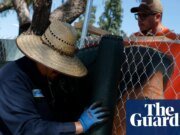 Los legisladores de California votan para cambiar el nombre del Día de César Chávez como Día del Agricultor de California