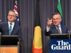 El gobierno albanés dice que el suministro de combustible será “el mismo, si no mayor” la próxima semana, mientras la coalición pide reducir a la mitad los impuestos especiales. política australiana
