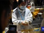 A pesar de las preocupaciones por el bienestar, el comercio extranjero de mascotas en China prospera