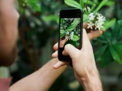 Aquí tienes una forma inteligente de almacenar tus archivos sin interminables tarifas de suscripción.