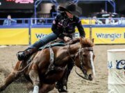 Dash to Fame reina en la clasificación de carreras de barriles de todos los tiempos