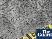 Más de 20 heridos después de que un conductor atropellara a una multitud en un desfile de Luisiana | Luisiana