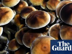 ‘No quería tomar drogas por el resto de mi vida’: un experimentador realiza retiros con psilocibina para el trastorno de estrés postraumático antes de la aprobación de la FDA | noticias de estados unidos