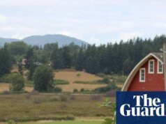 ‘Película de terror’: Las autoridades investigan después de que 21 perros muertos aparecieron en la costa del estado de Washington | Estado de Washington