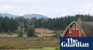 ‘Película de terror’: Las autoridades investigan después de que 21 perros muertos aparecieron en la costa del estado de Washington | Estado de Washington