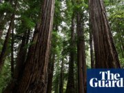 El Servicio Forestal de EE.UU. trasladará su sede de Washington DC a Salt Lake City Administración Trump