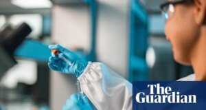 ¿Qué son los péptidos? ¿Son seguros? ¿Existe evidencia que respalde las exageraciones? | Medicina para bajar de peso