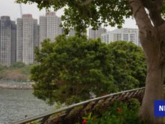 HK Fire Safety Contractor admitió que no se realizaron visitas al sitio a pesar del aviso de cierre