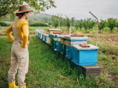 ¿Podrá la IA encontrar tu próxima obsesión? Revisé sus sugerencias de pasatiempos.