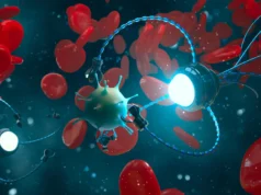 Los robots de ADN pueden administrar drogas y cazar virus dentro de su cuerpo