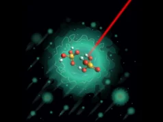 Los científicos acaban de descubrir el misterio detrás de la “autopista de protones” de la naturaleza.