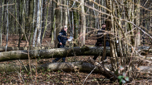 tree-falls-over-germany-easter-egg-hunt.png