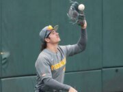 La temporada de béisbol de Chapel Hill Regional Tennessee ha terminado