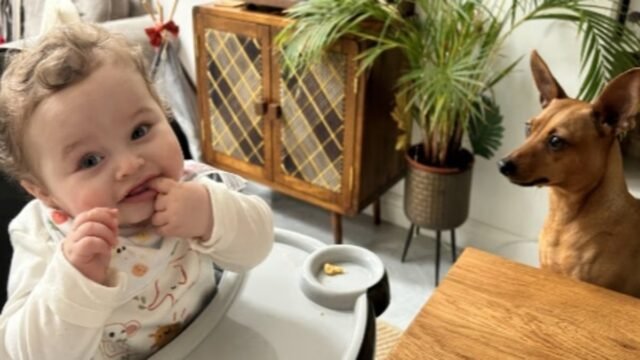 108243239-0-Preston_Davey_pictured_by_his_adopted_father_Jamie_Varley_37_the-a-14_1779118994580.jpg