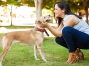 Cinco preguntas que los dueños de mascotas británicos desearían poder hacer a sus amigos peludos