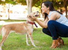 Cinco preguntas que los dueños de mascotas británicos desearían poder hacer a sus amigos peludos