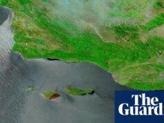 Imágenes de la NASA muestran daños por incendios forestales en la isla ‘Galápagos de California’ Noticias de EE.UU.