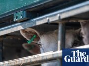 La UE se prepara para ofrecer concesiones clave al Reino Unido en un nuevo acuerdo agrícola post-Brexit Unión Europea
