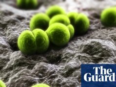 Un muerto y dos enfermos tras brote de meningitis en Berkshire | Meningitis