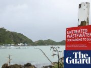 ‘¿Cómo sobreviviremos a esto?’ Wellington tiene que esperar seis meses para el tratamiento de aguas residuales Nueva Zelanda