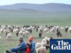 Los verdes pastos de la vida de un pastor atraen a los trabajadores chinos escritos a través de ‘996’ trabajos China