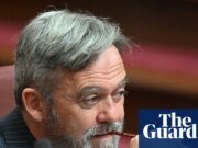 Los senadores liberales rompen filas para atacar el discurso ‘negativo’ de Angus Taylor sobre la inmigración Partido Liberal